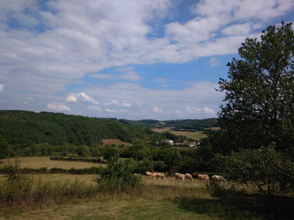 Villiers-en-Morvan La Maison De Jacques מראה חיצוני תמונה